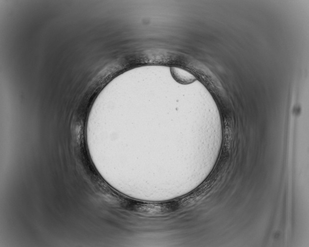 X0000098020123200804251146