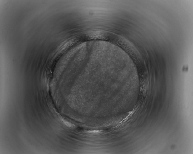 X0000098020124200804251146