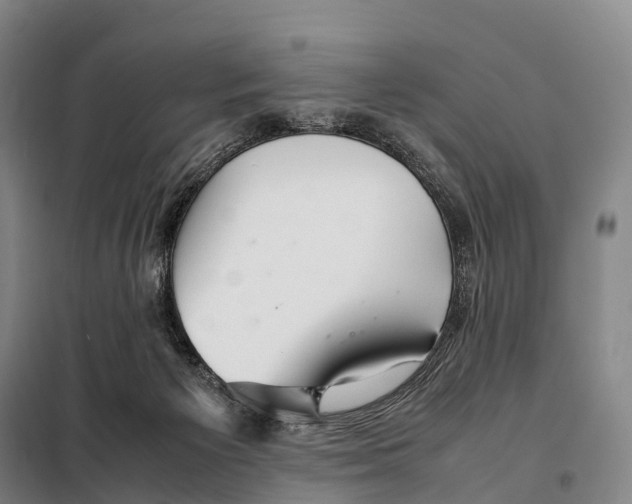 X0000098020125200804251146
