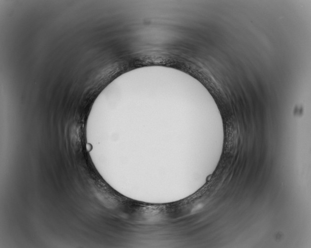 X0000098020126200804251146
