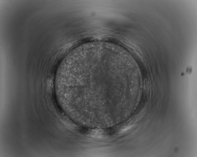 X0000098020127200804251146