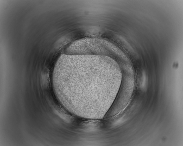 X0000098020128200804251146