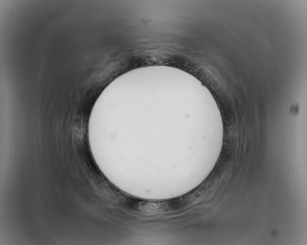 X0000098020129200804251146