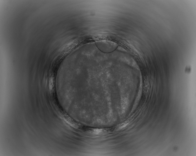 X0000098020130200804251146