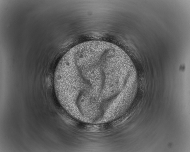 X0000098020131200804251146