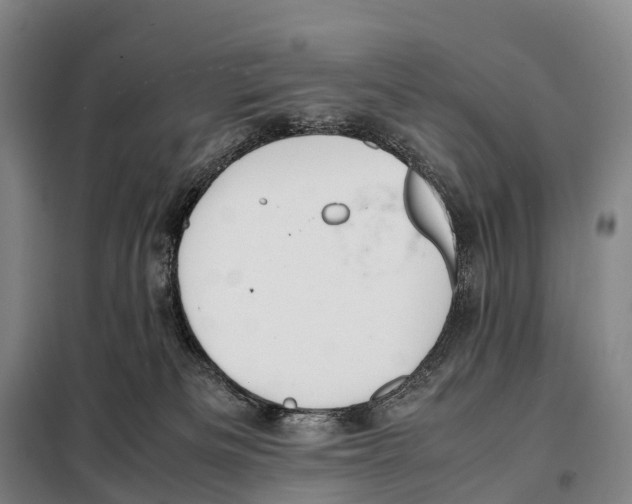 X0000098020133200804251146