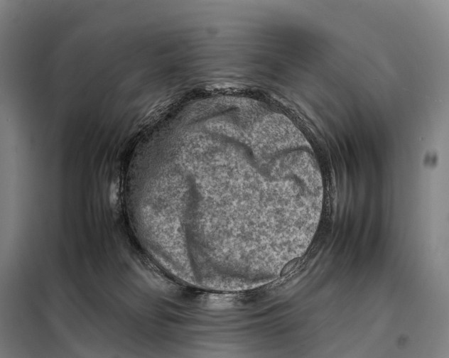 X0000098020134200804251146