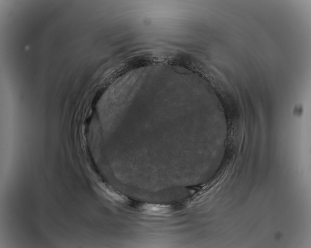 X0000098020137200804251146