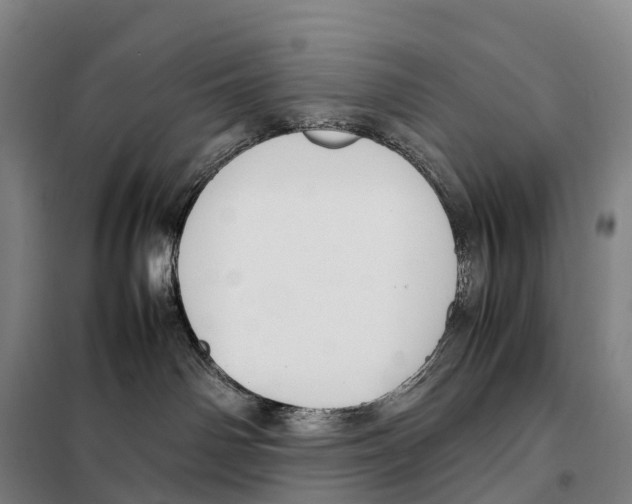 X0000098020142200804251146