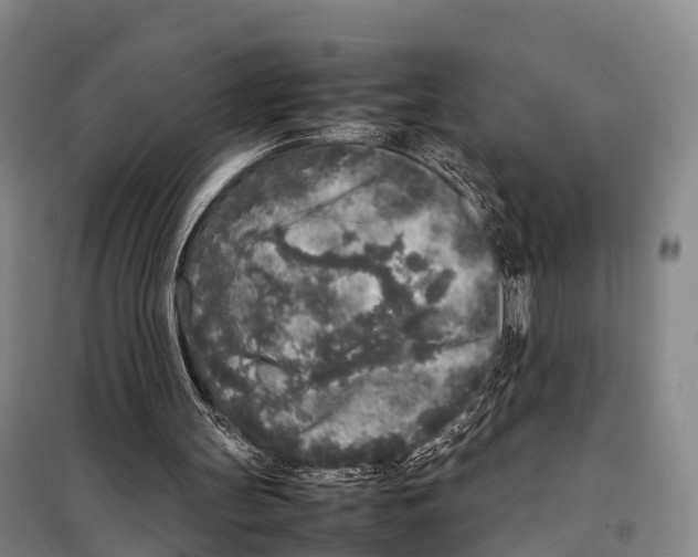 X0000098020147200804251145