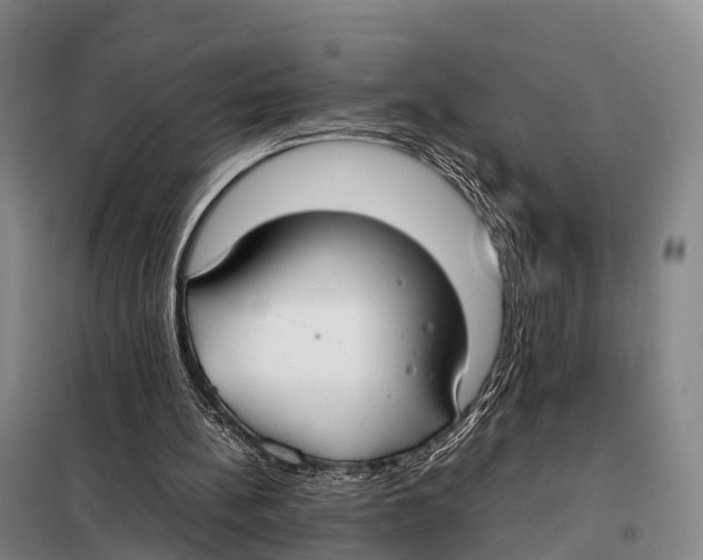 X0000098020148200804251145