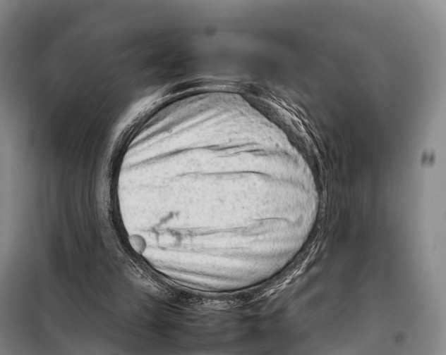 X0000098020149200804251145
