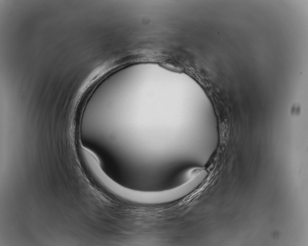 X0000098020150200804251145