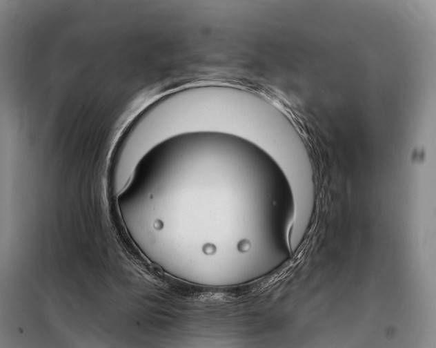 X0000098020152200804251145
