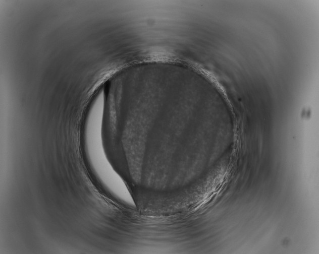 X0000098020154200804251145