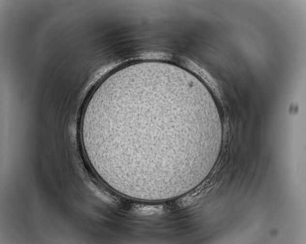 X0000098020155200804251145