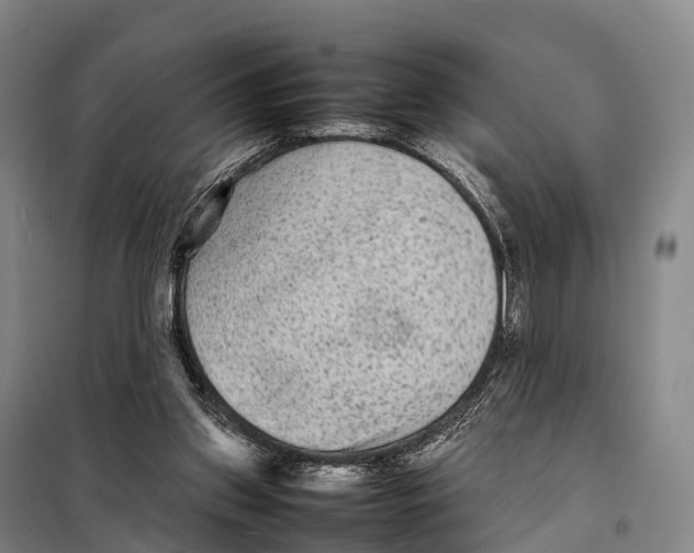 X0000098020157200804251145