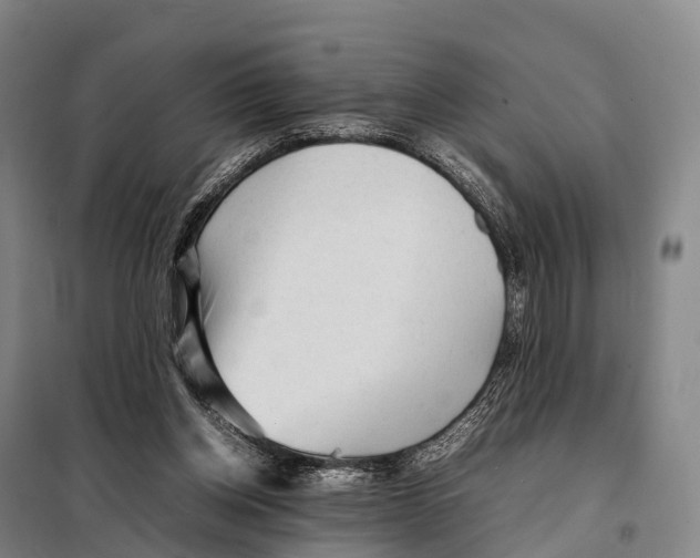 X0000098020158200804251145