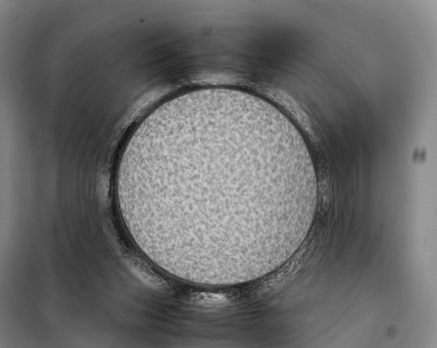 X0000098020159200804251145