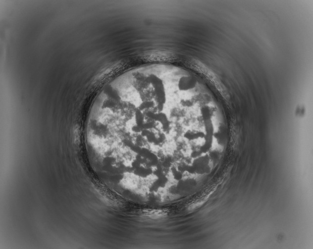 X0000098020161200804251145