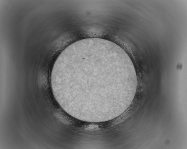 X0000098020162200804251145