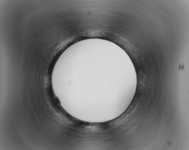 X0000098020164200804251145