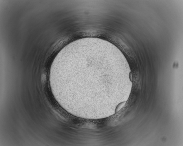 X0000098020166200804251145