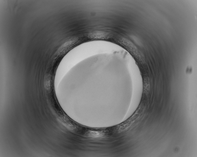 X0000098020167200804251145