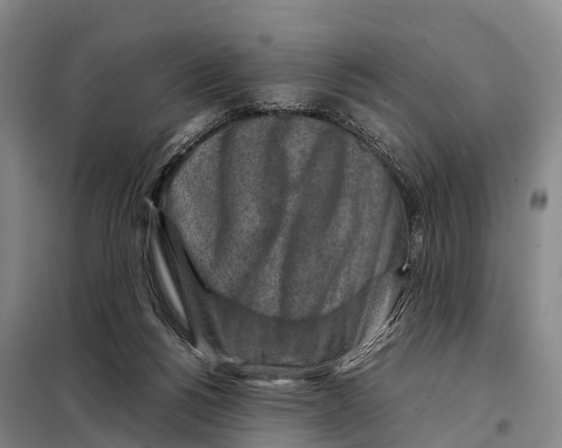 X0000098020168200804251145