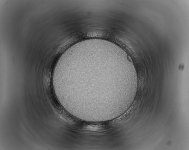 X0000098020171200804251146