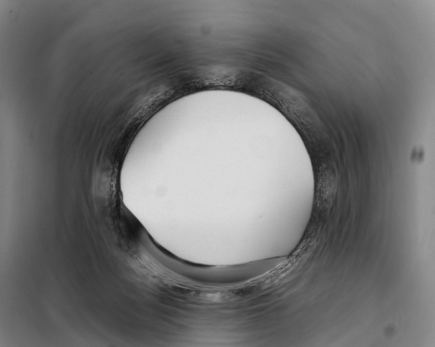 X0000098020172200804251146