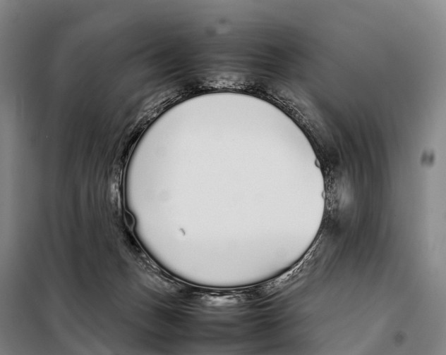 X0000098020175200804251146