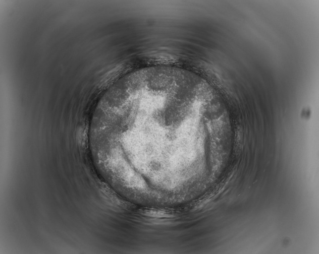 X0000098020177200804251146