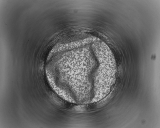 X0000098020178200804251146