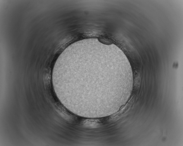 X0000098020179200804251146