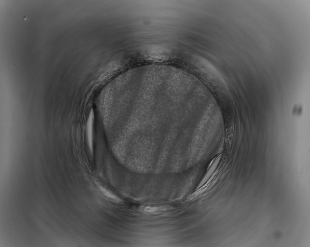 X0000098020180200804251146