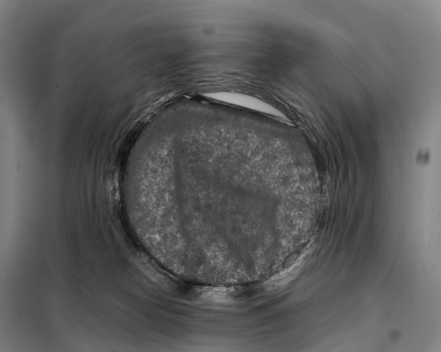 X0000098020182200804251146
