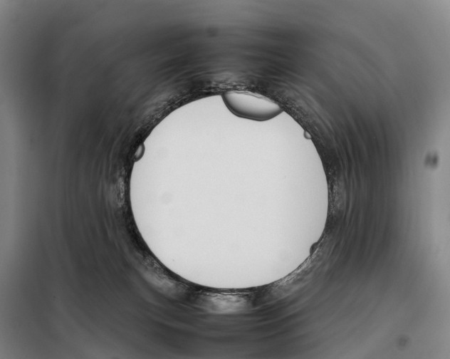X0000098020183200804251146