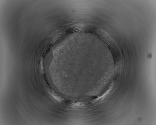 X0000098020186200804251146