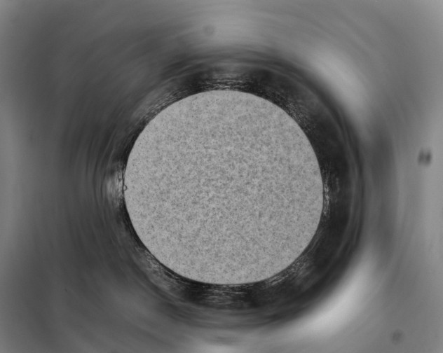 X0000098020190200804251146