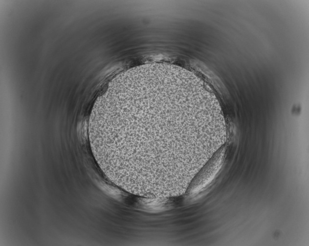 X0000098020191200804251146