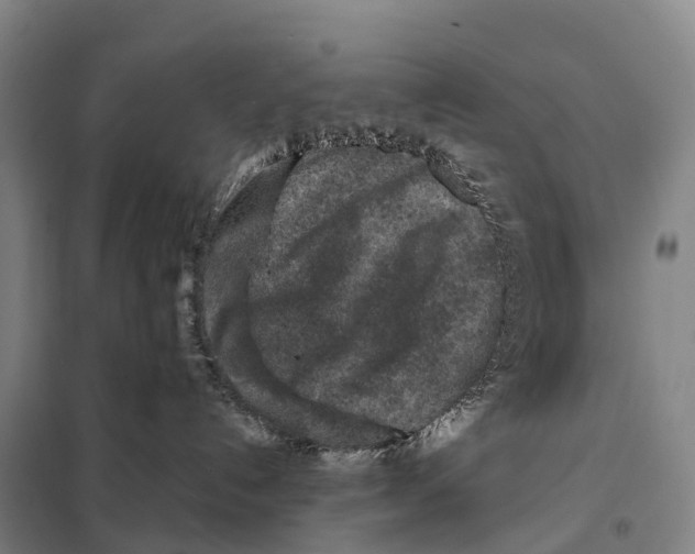 X0000098020192200804251146
