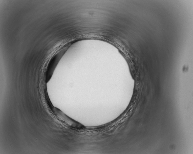 X0000098020193200804251145