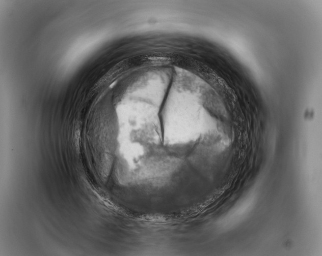 X0000098020194200804251145