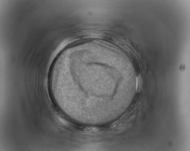 X0000098020195200804251145
