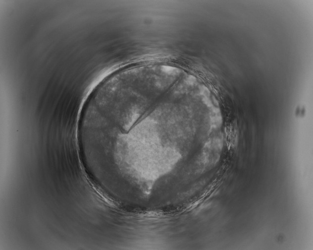 X0000098020196200804251145