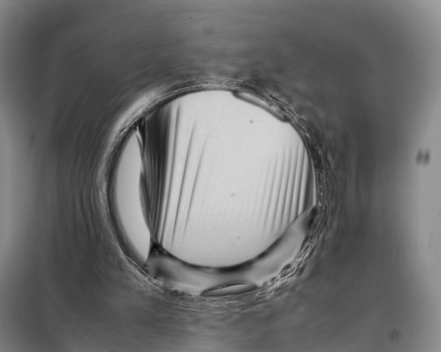 X0000098020197200804251145