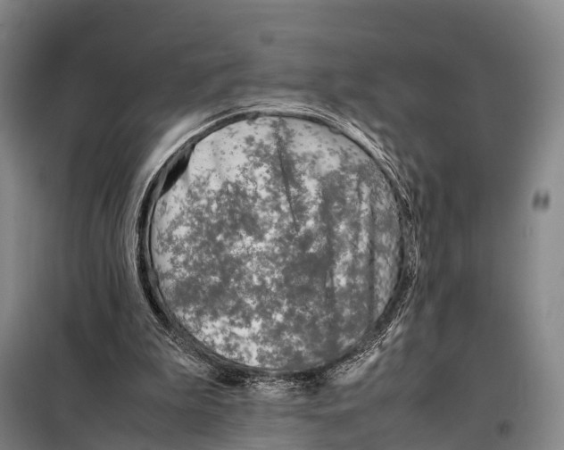 X0000098020199200804251145