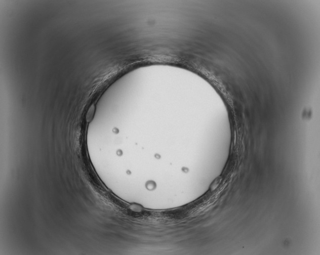 X0000098020201200804251145