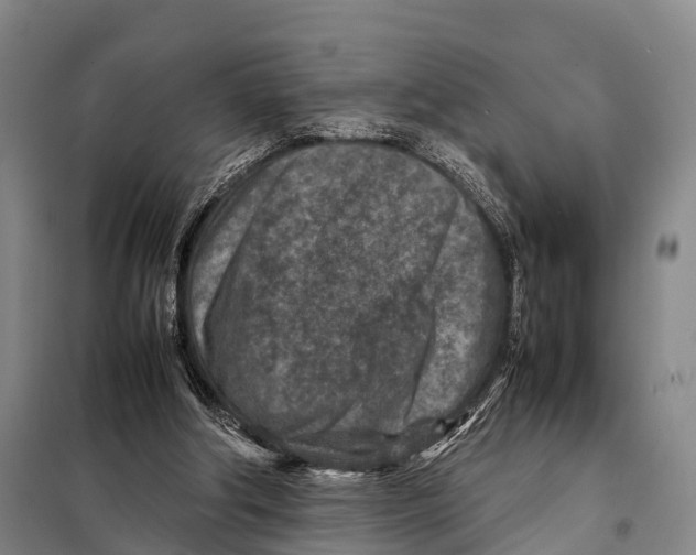 X0000098020202200804251145